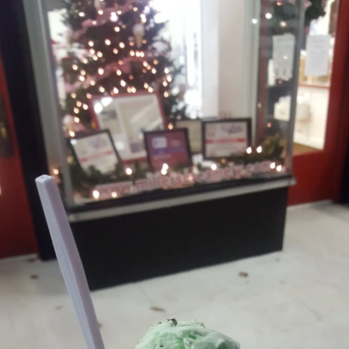 Mint Chocolate Chip