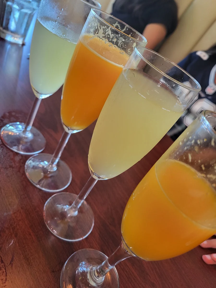 Mimosa Flight