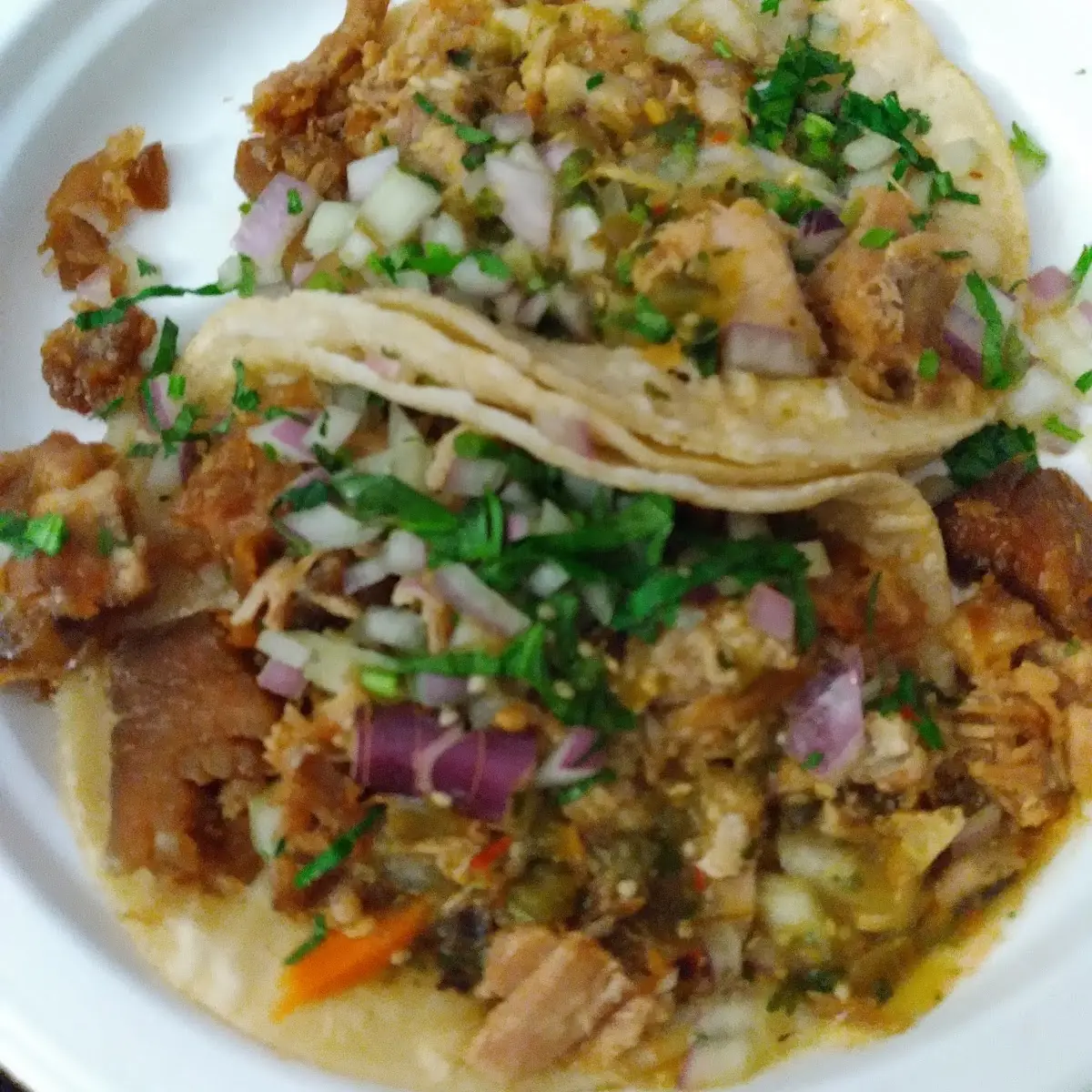 Pork Carnitas Taco