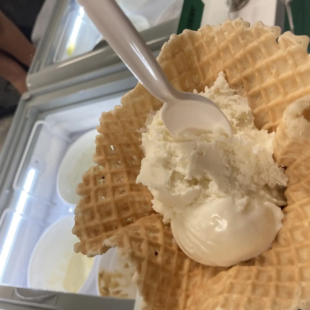 Waffle Bowl with Vanilla Ice Cream