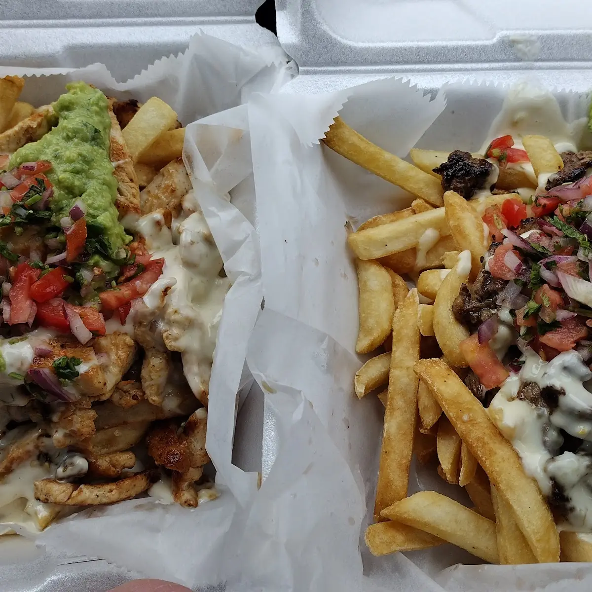 Carne Asada Fries