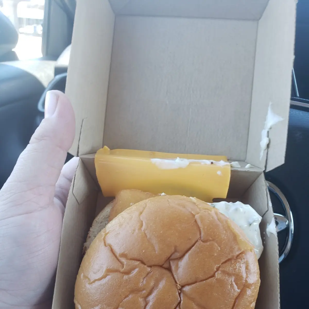 Fish Sandwich
