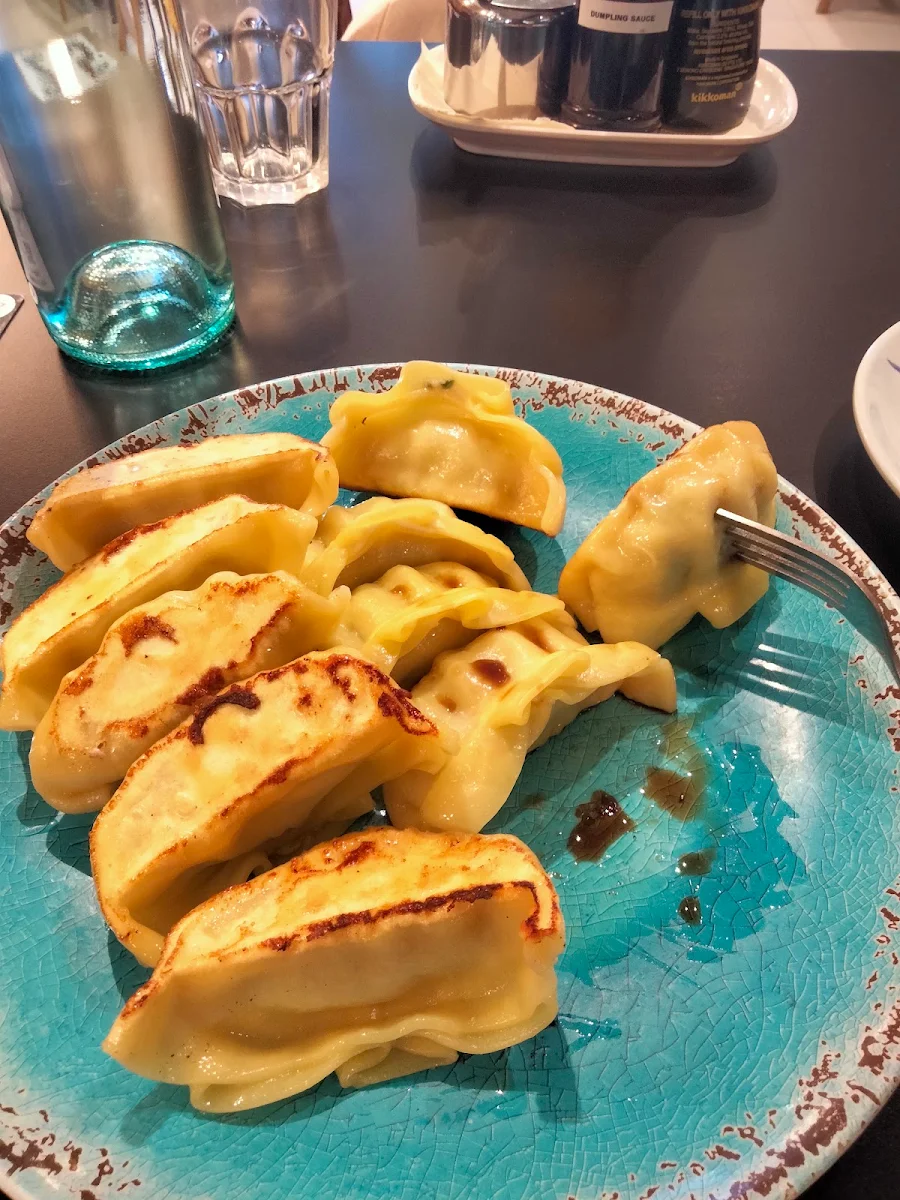 Chicken Dumplings
