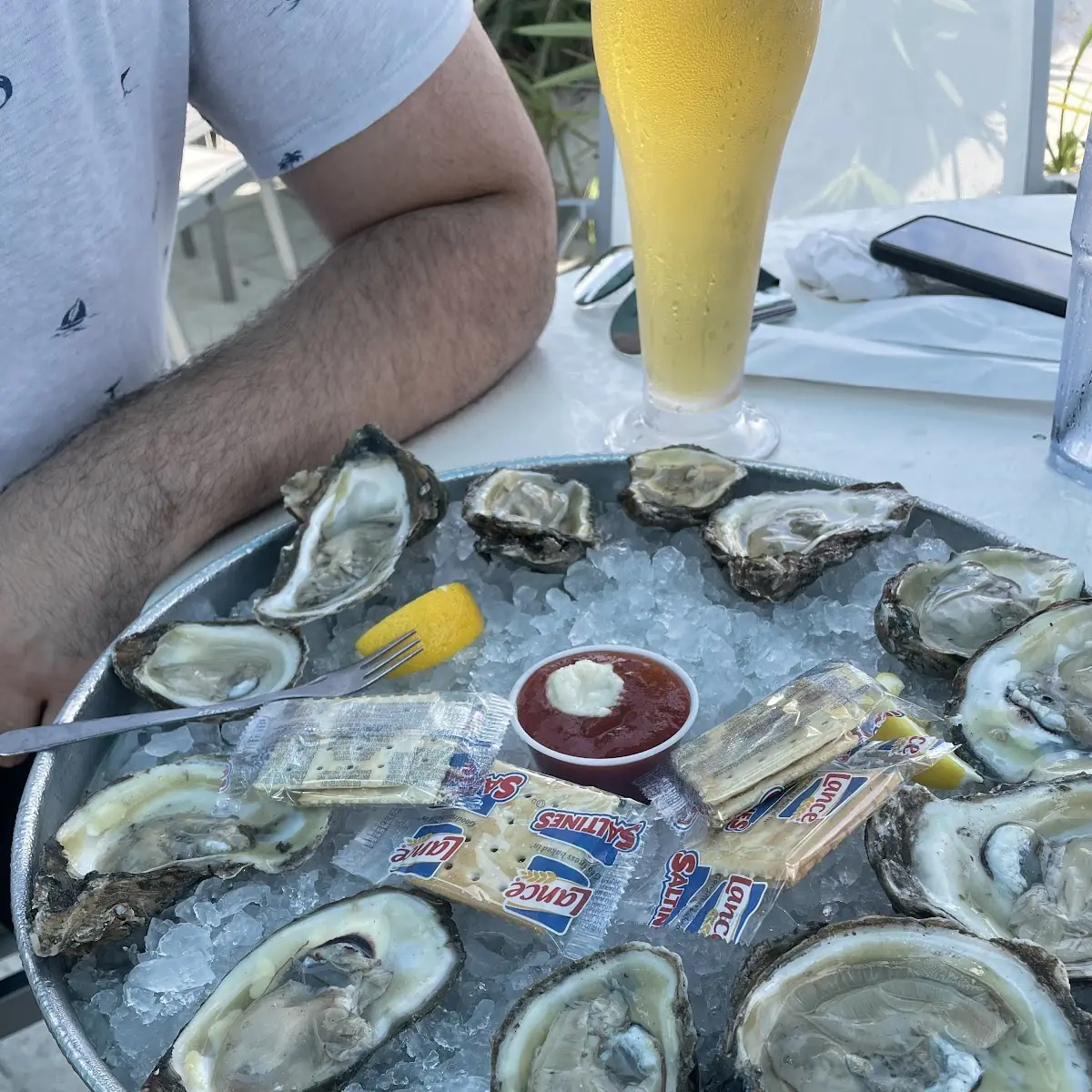 Florida Oysters on the Half Shell