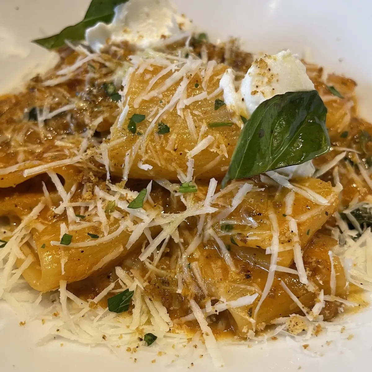 Rigatoni Bolognese