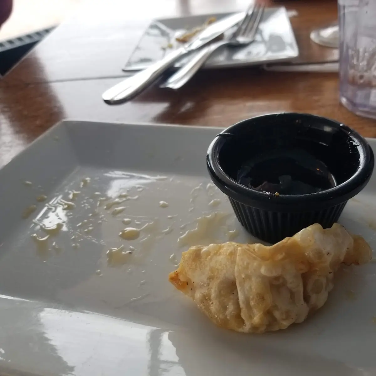 Pot Stickers