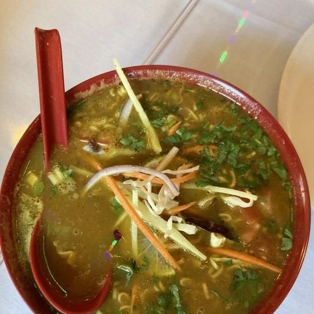 Chicken Chow Chow Noodles Soup