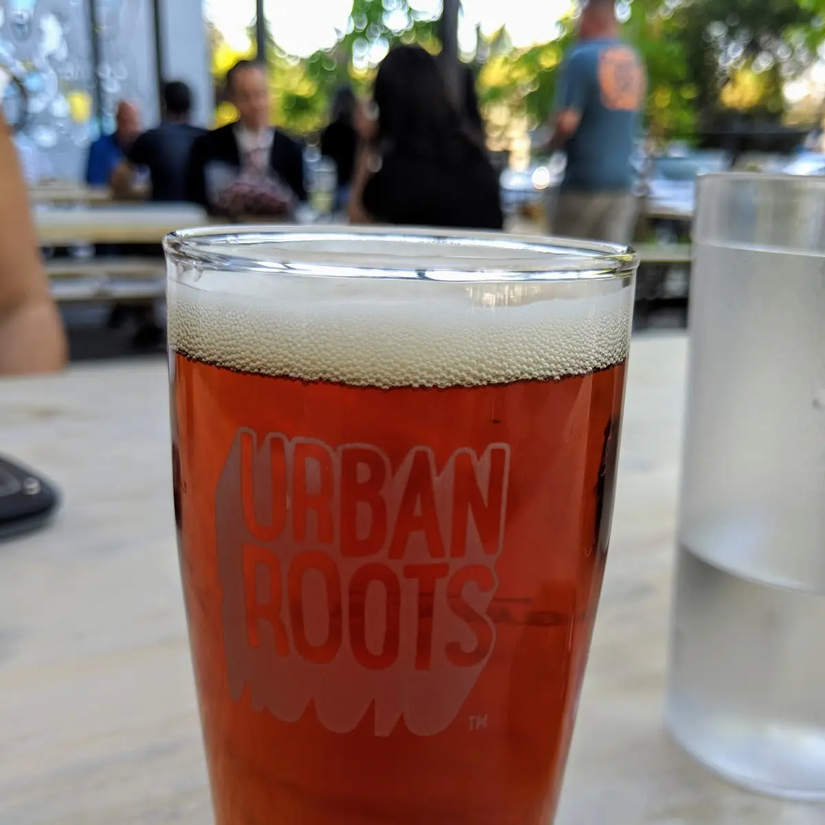 Draft Beer with Lime Wedge