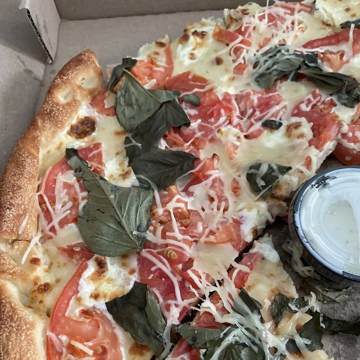 Margarita Pizza