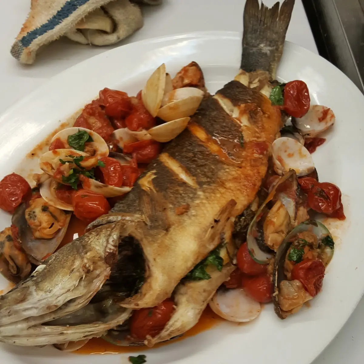 Sea Bass