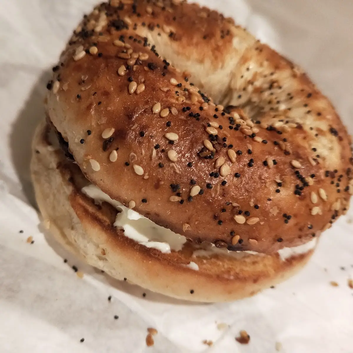 Everything Bagel with Cream Cheese