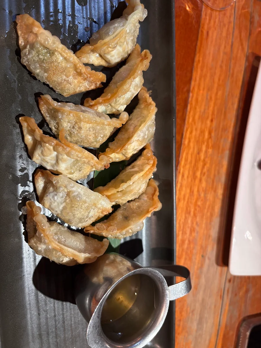 Crispy Dumplings, Infuzions Cammeray