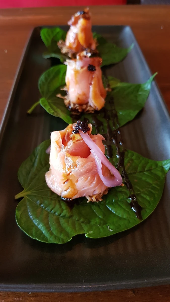 Highlights, Infuzions Cammeray