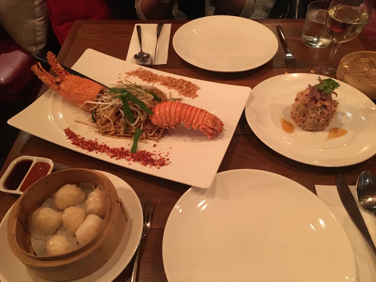 Lobster Pad Thai, Infuzions Cammeray