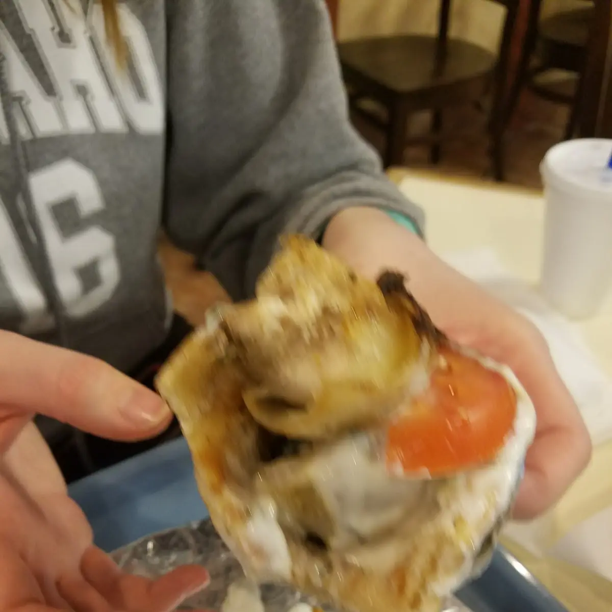 Souvlaki Platter