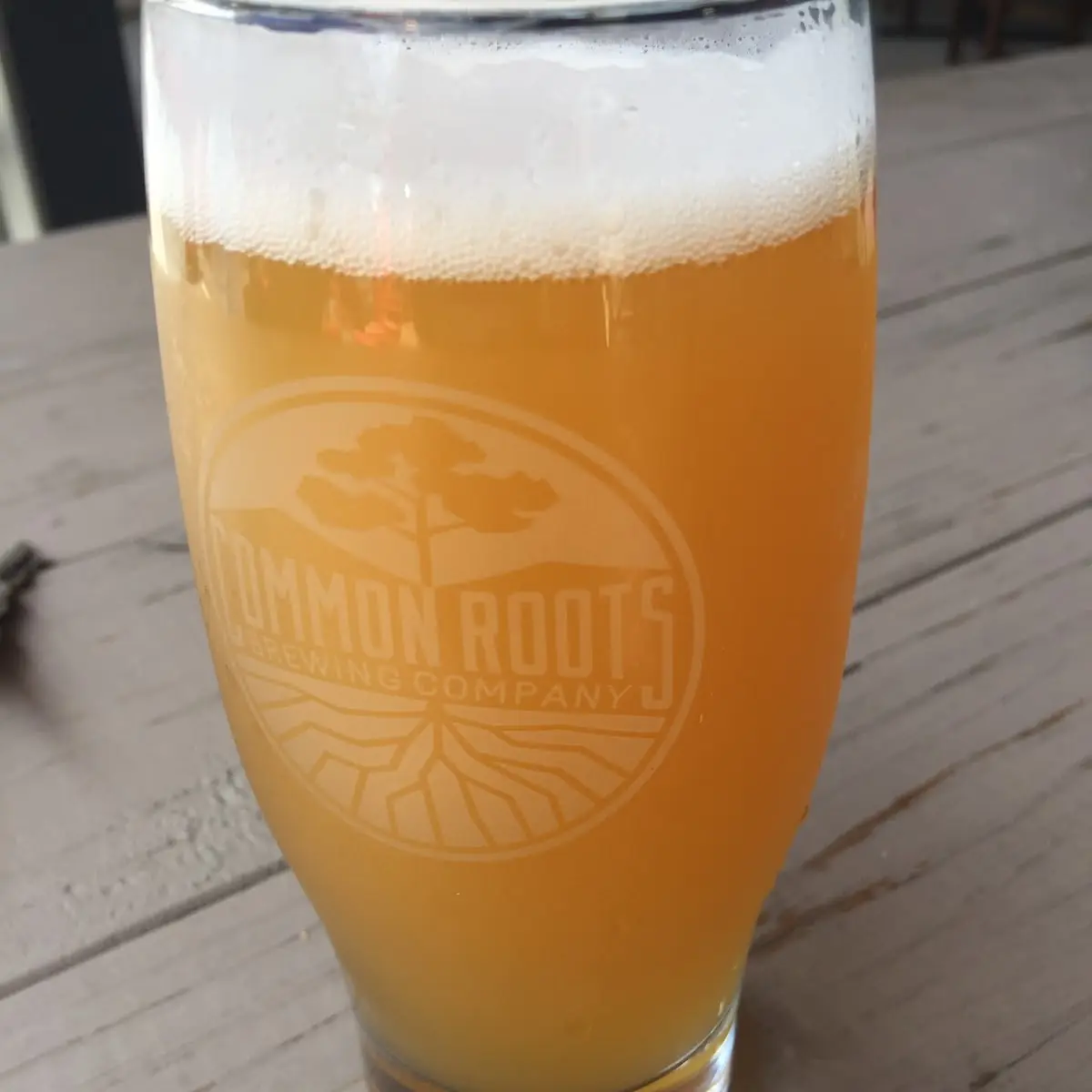 Spinner Draft Beer