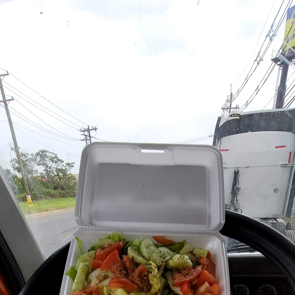 House Salad and Salmon