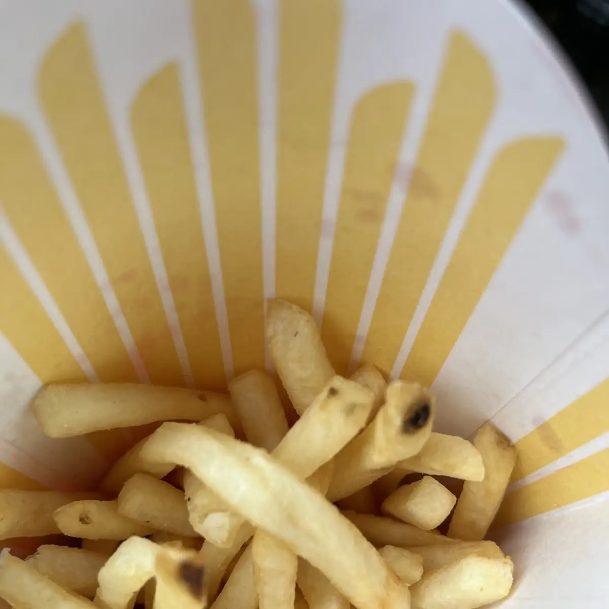 World Famous Fries