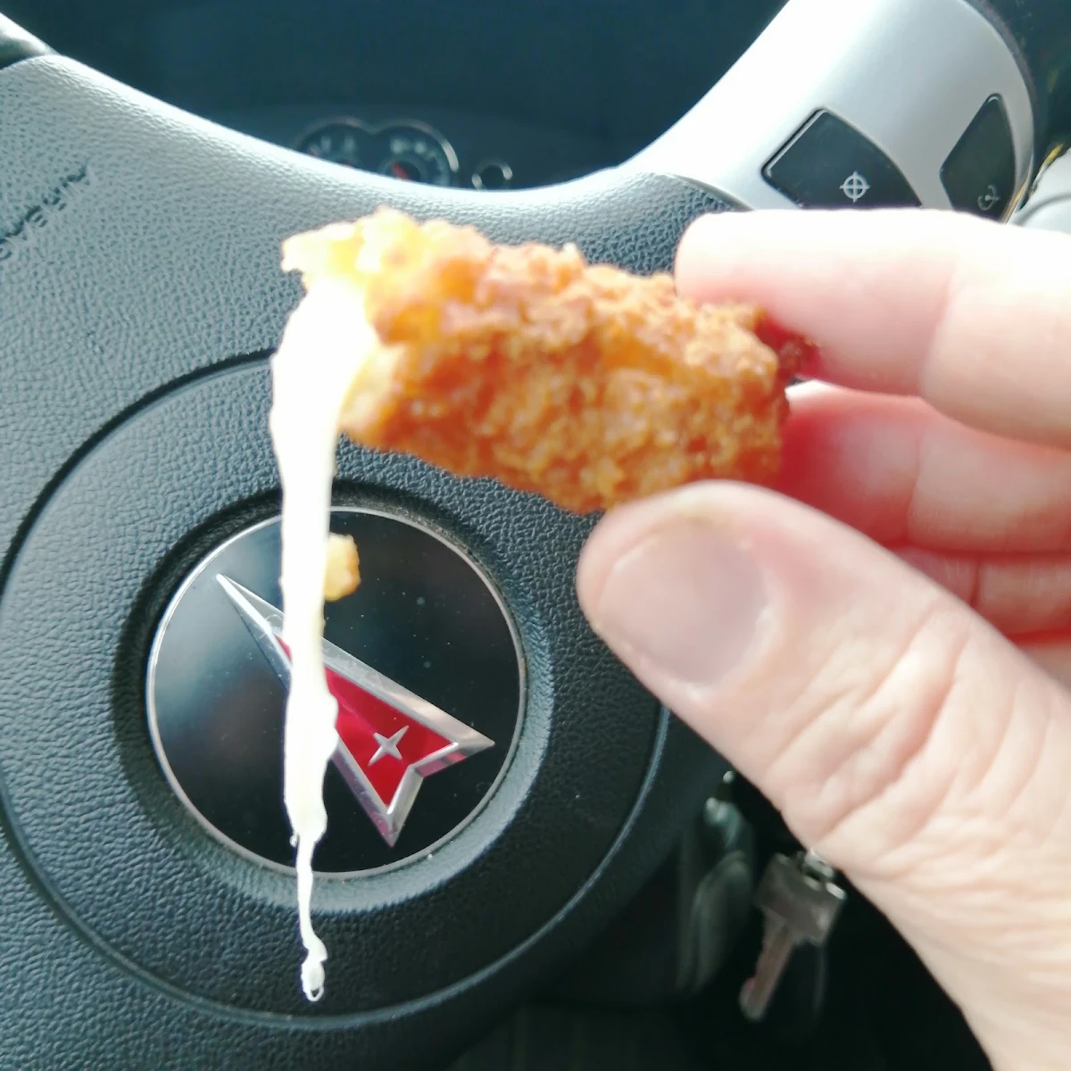 Mozzarella Sticks