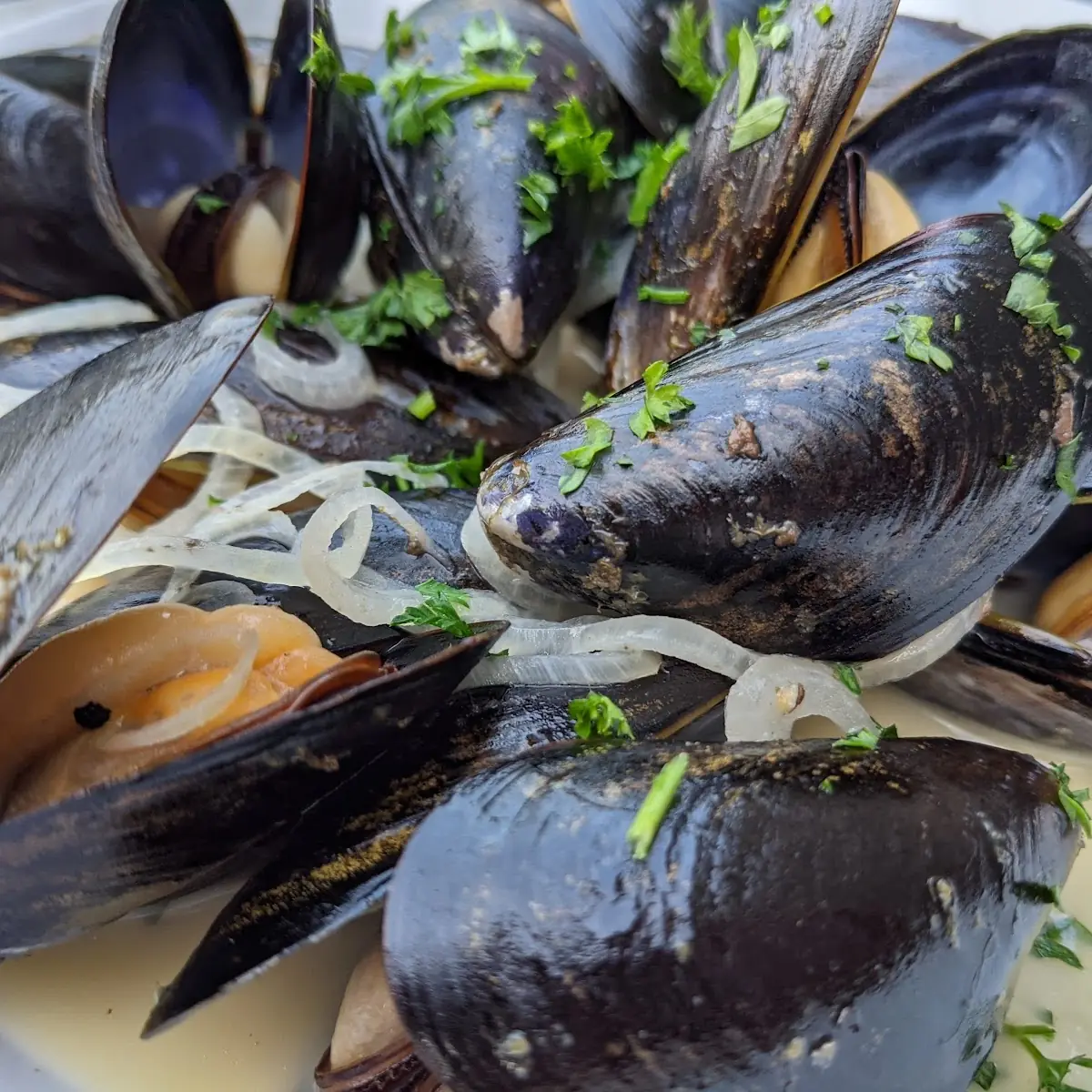 Mussels in White Wine Sauce