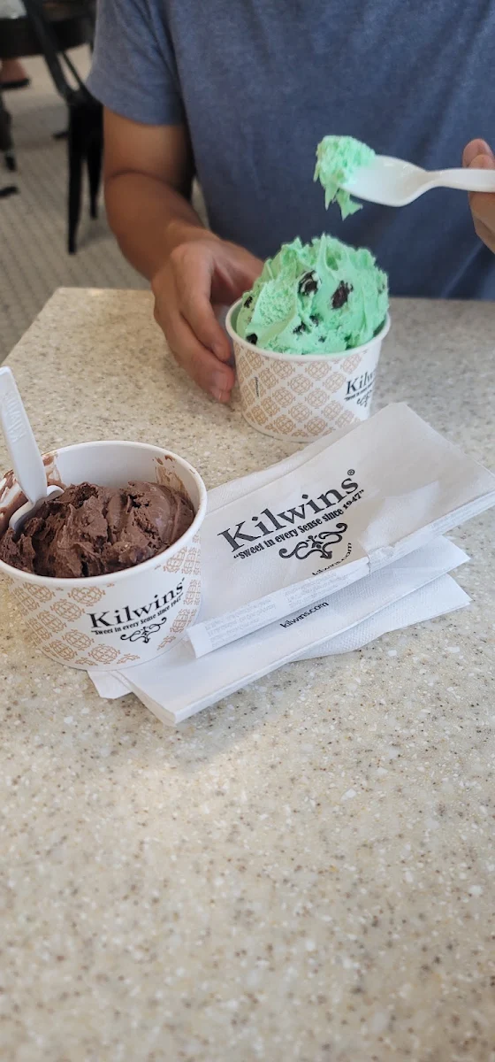 Chocolate Brownie and Mint Chocolate Chip