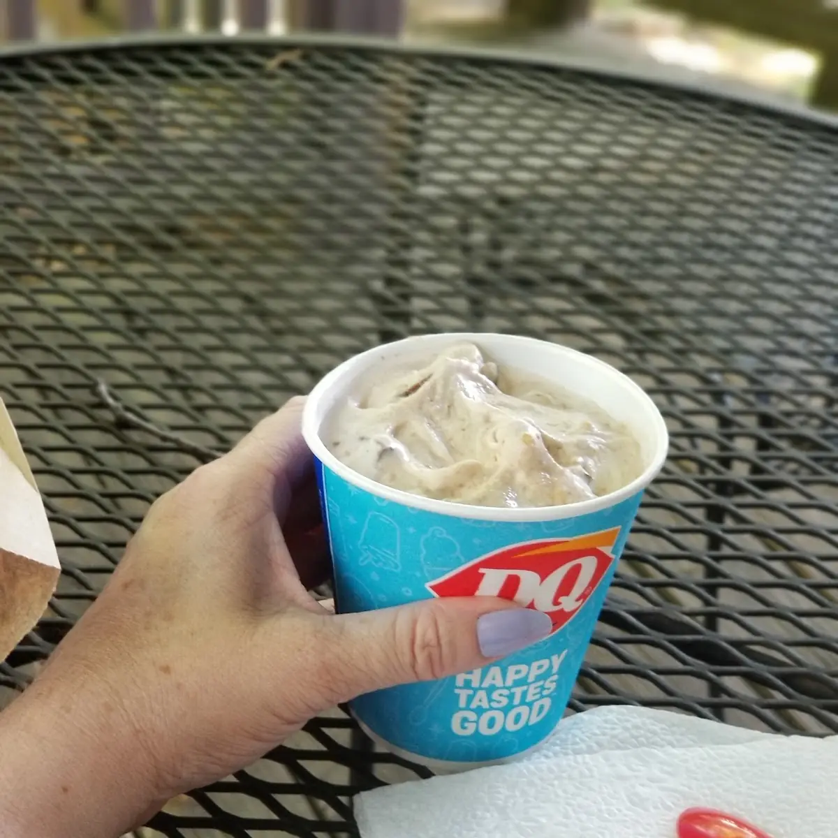S'Mores Blizzard Treat