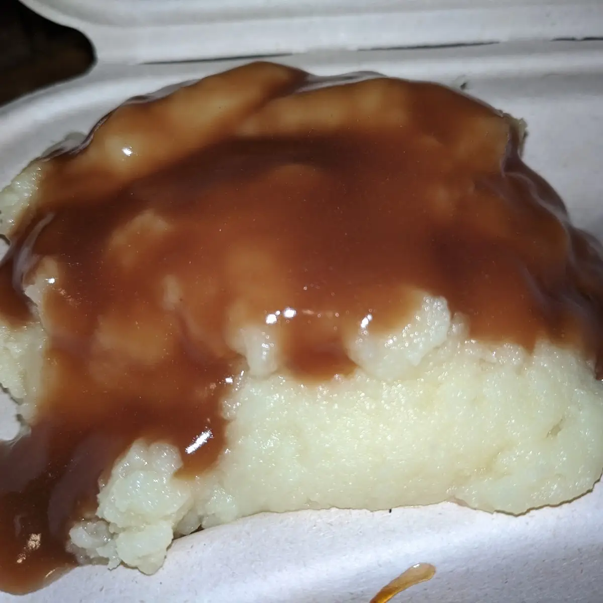 Mashed Potatoes and Gravy