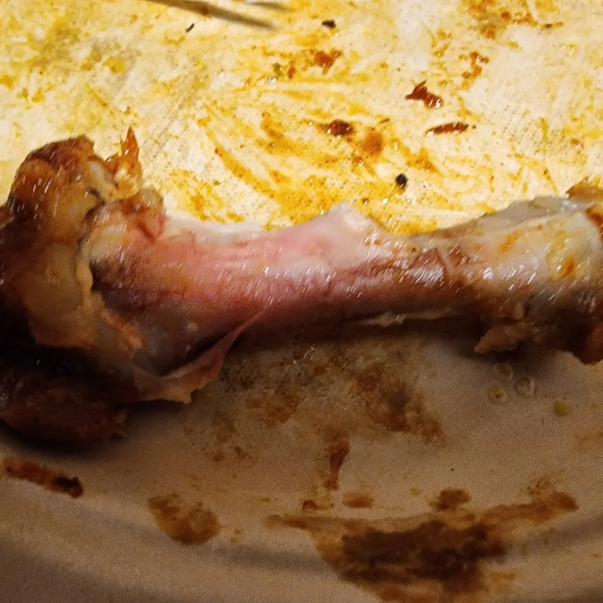 Raw Chicken Wing
