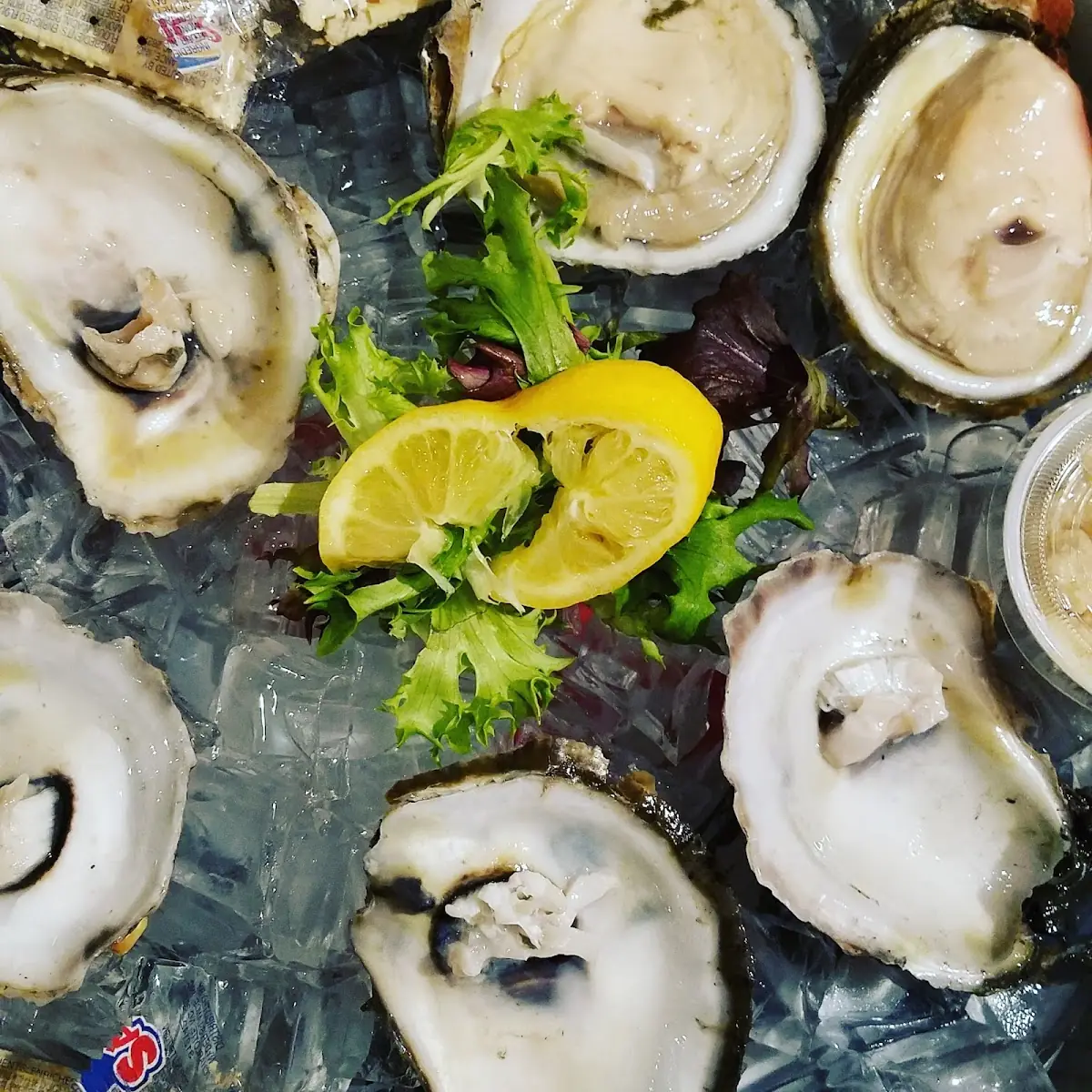 Oysters on the Half Shell