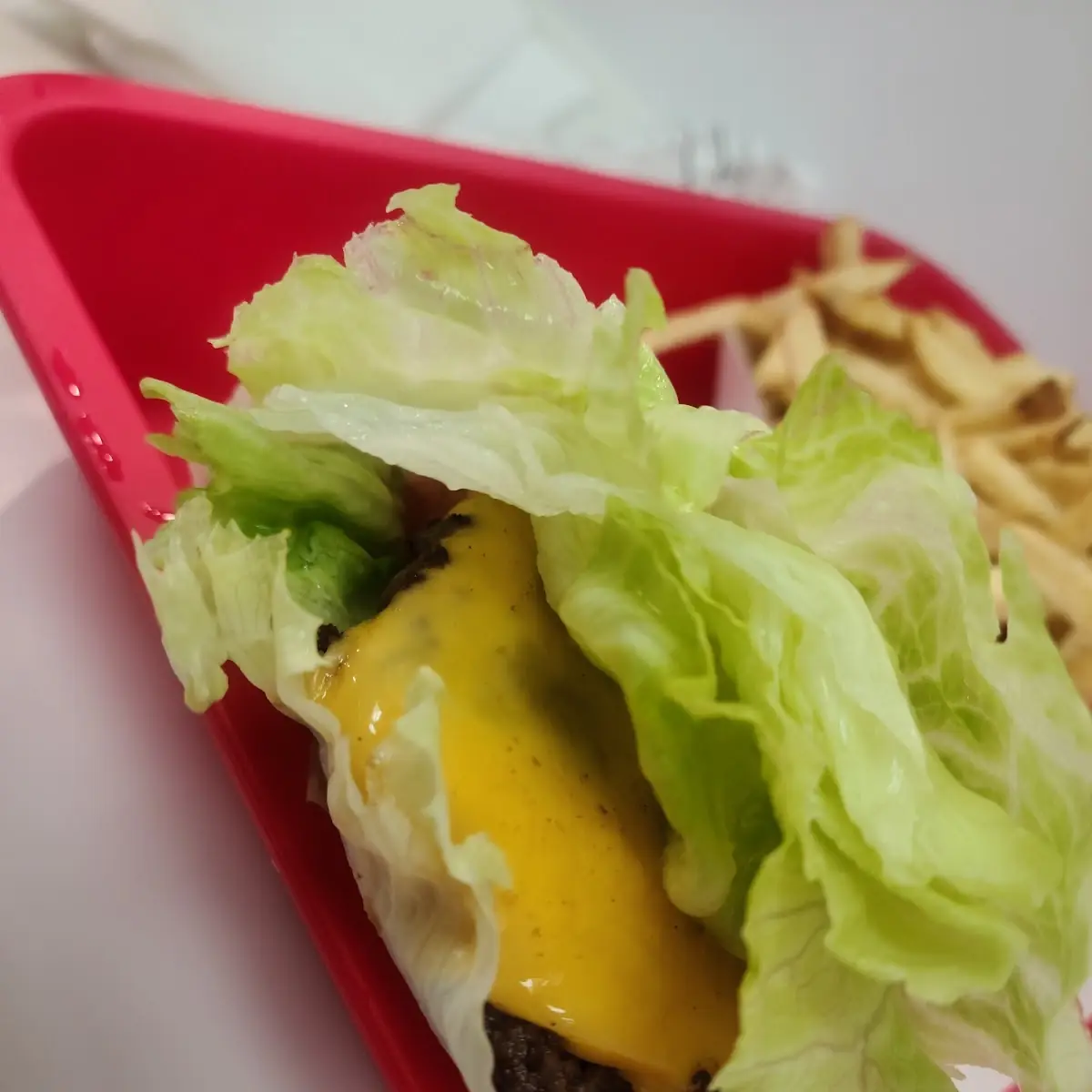 Protein Burger