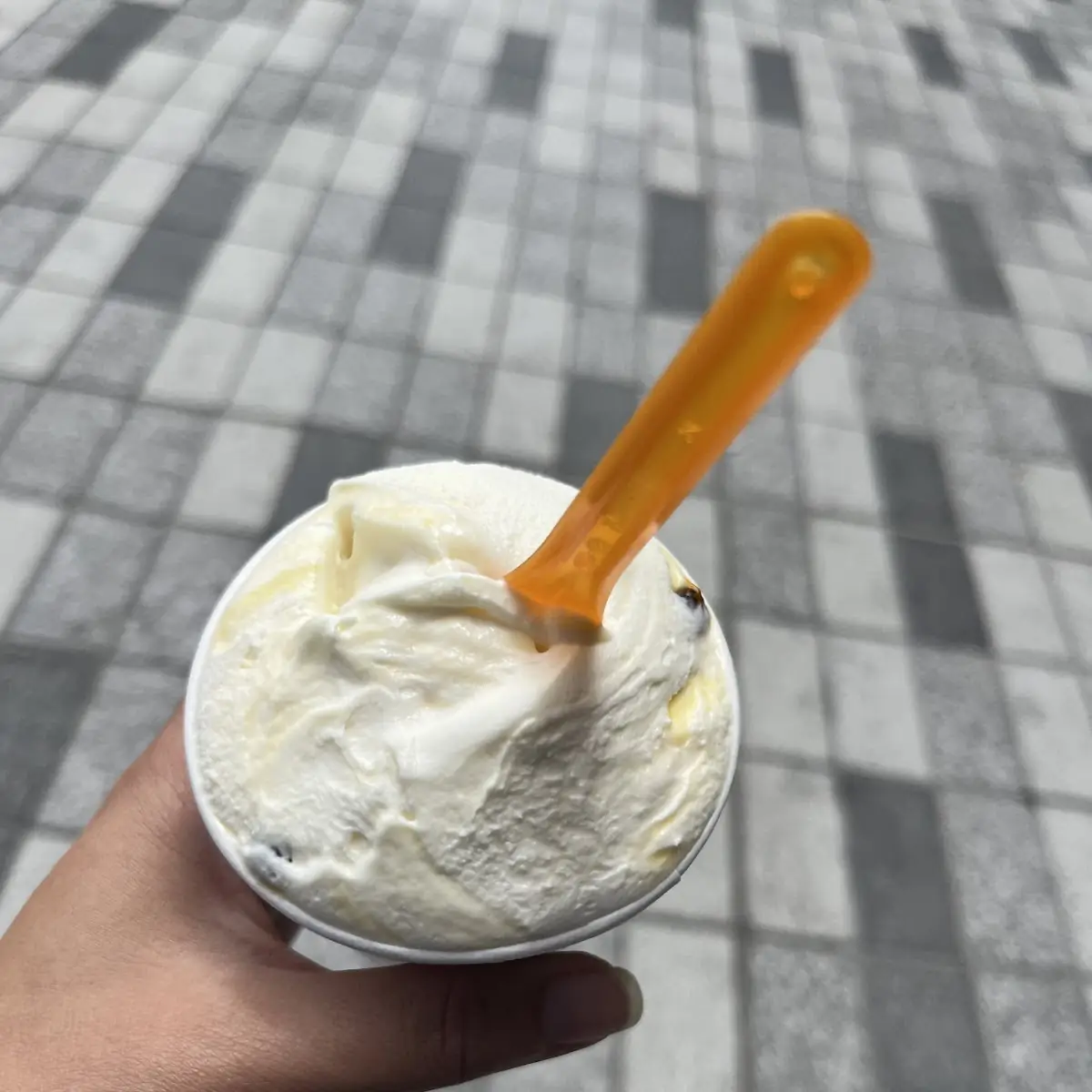 Madagascar Vanilla Gelato 1 Pint
