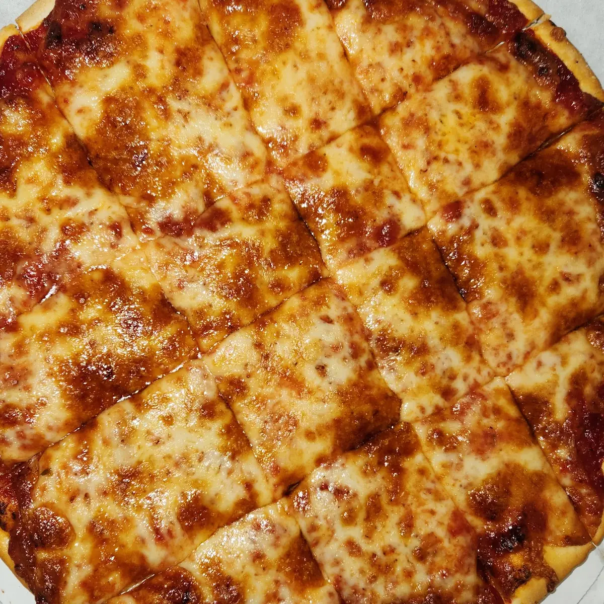 100 Mozzarella Cheese Pizza