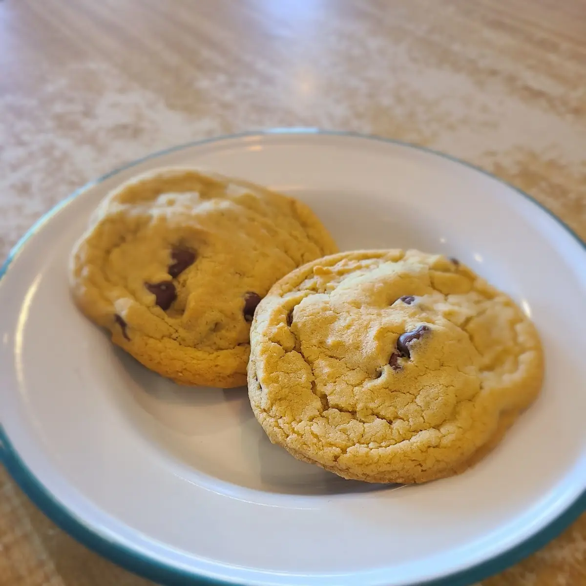 Chocolate Chip Cookie