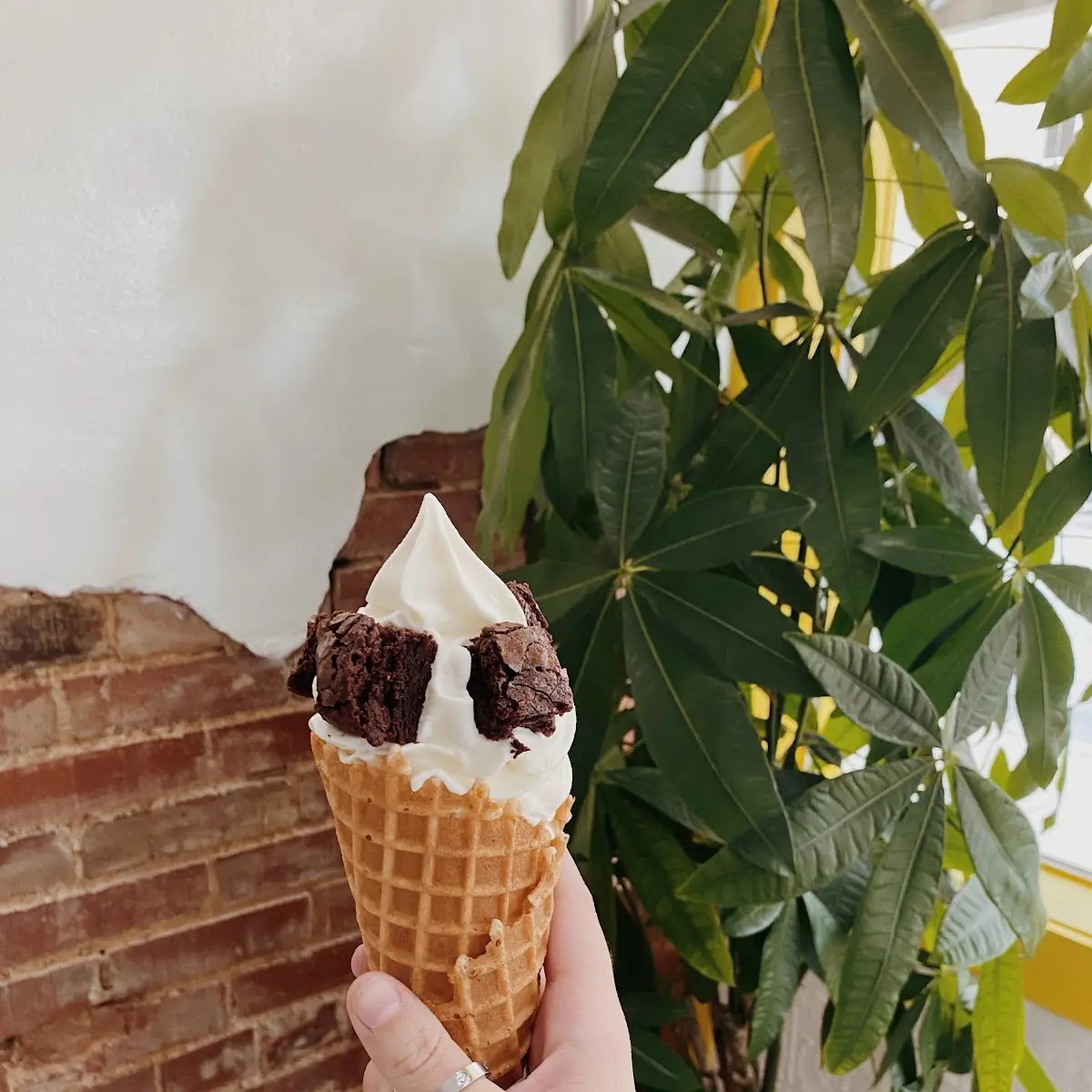 Waffle Cone