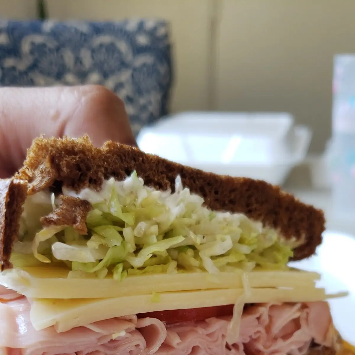 Ham & Swiss on Rye