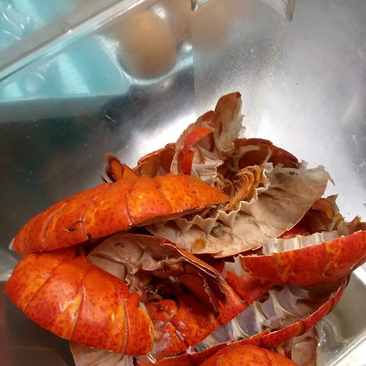 Lobster Tail
