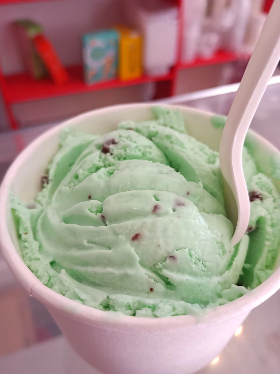 Mint Chocolate Chip Gelato