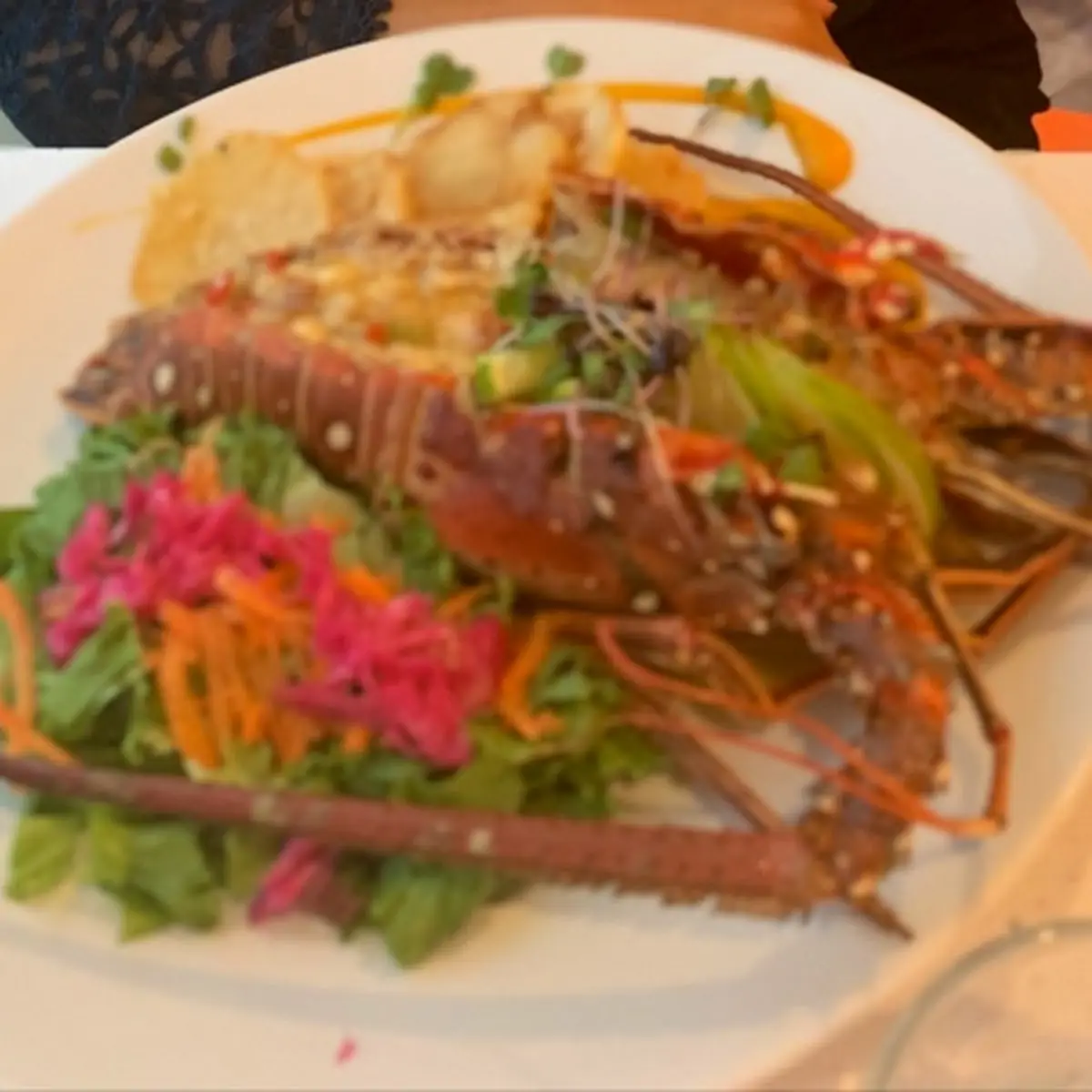 Lobster