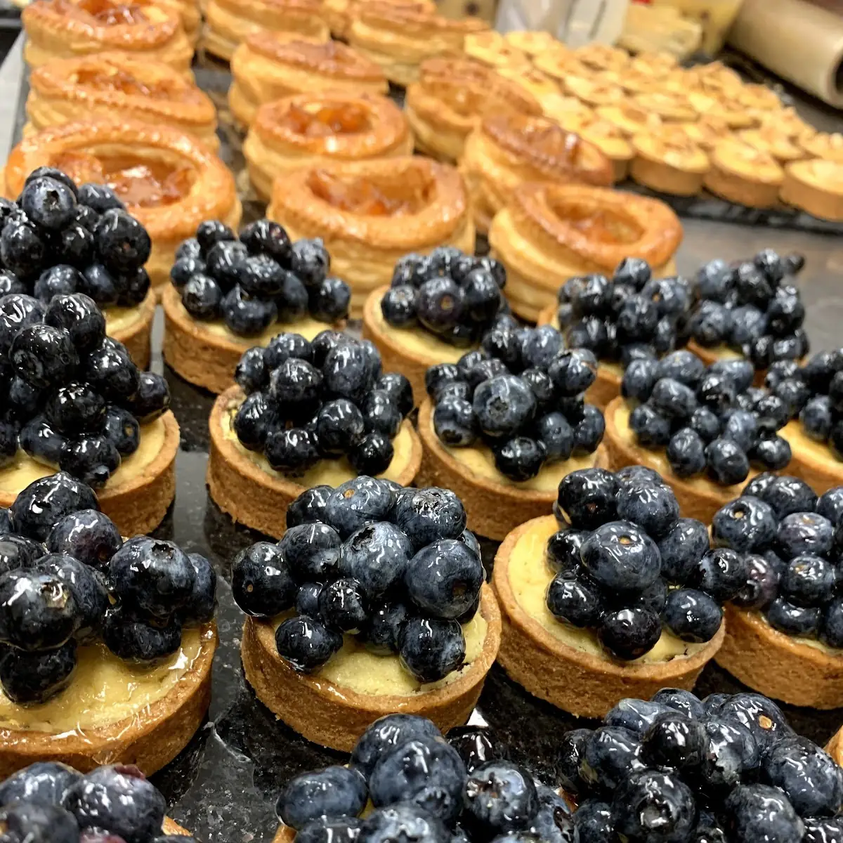 Blue Berry Cheese Cake