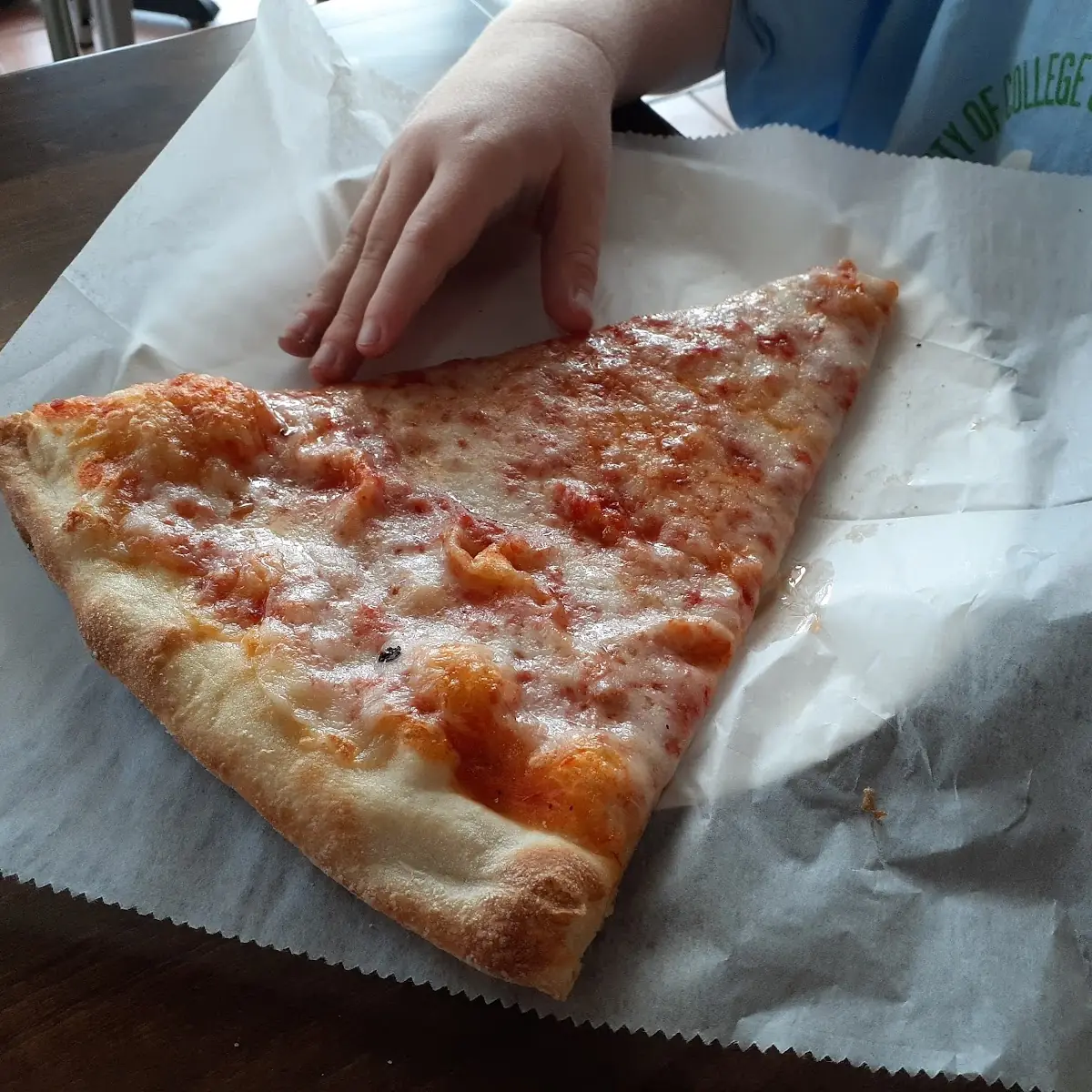 Cheese Pizza Slice