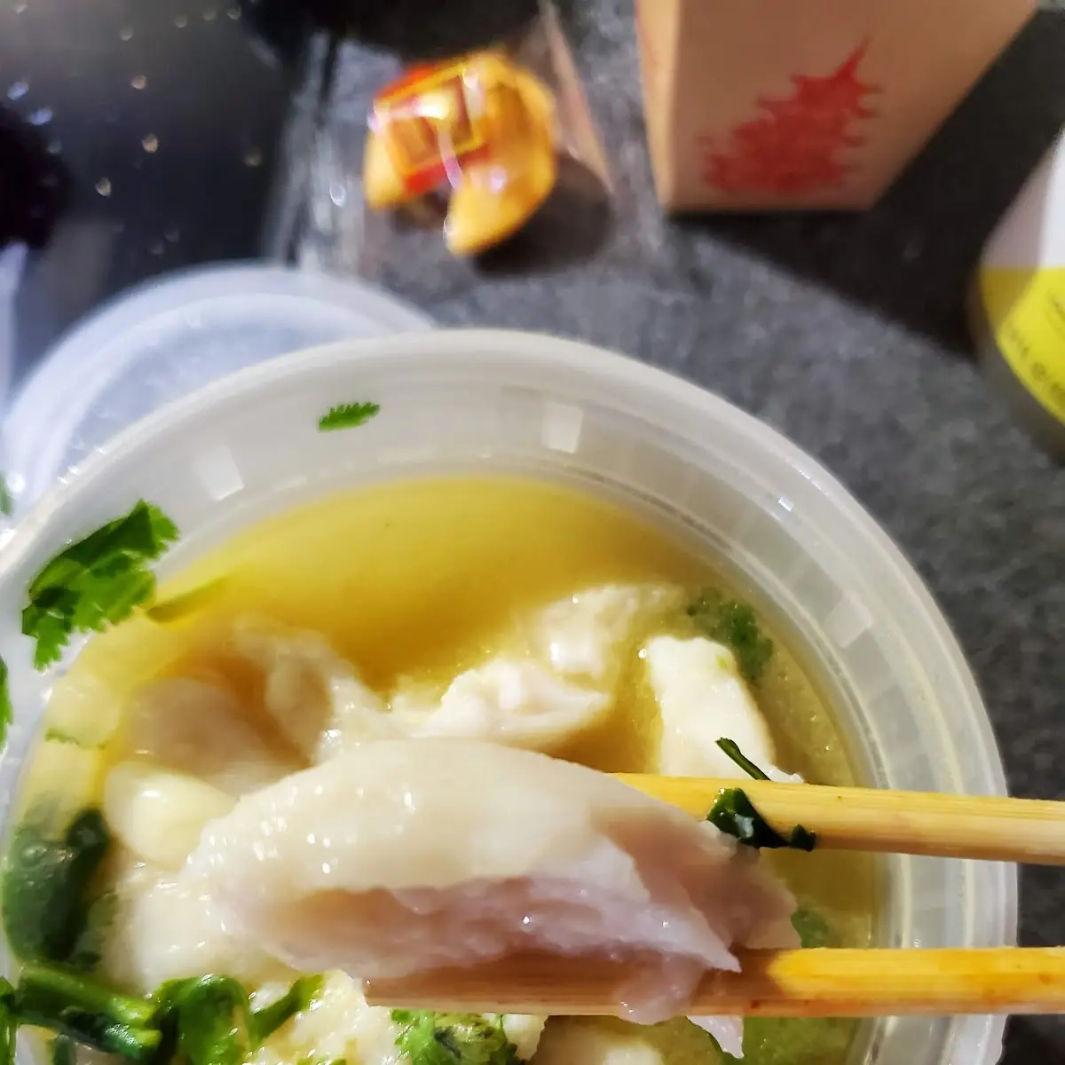 Wonton Soup
