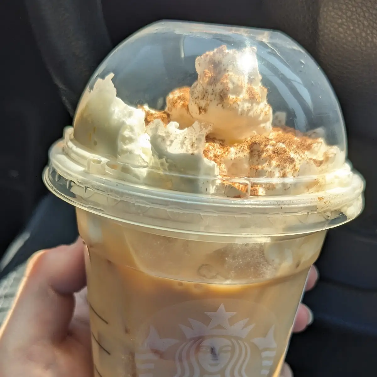 Pumpkin Cream Cold Brew