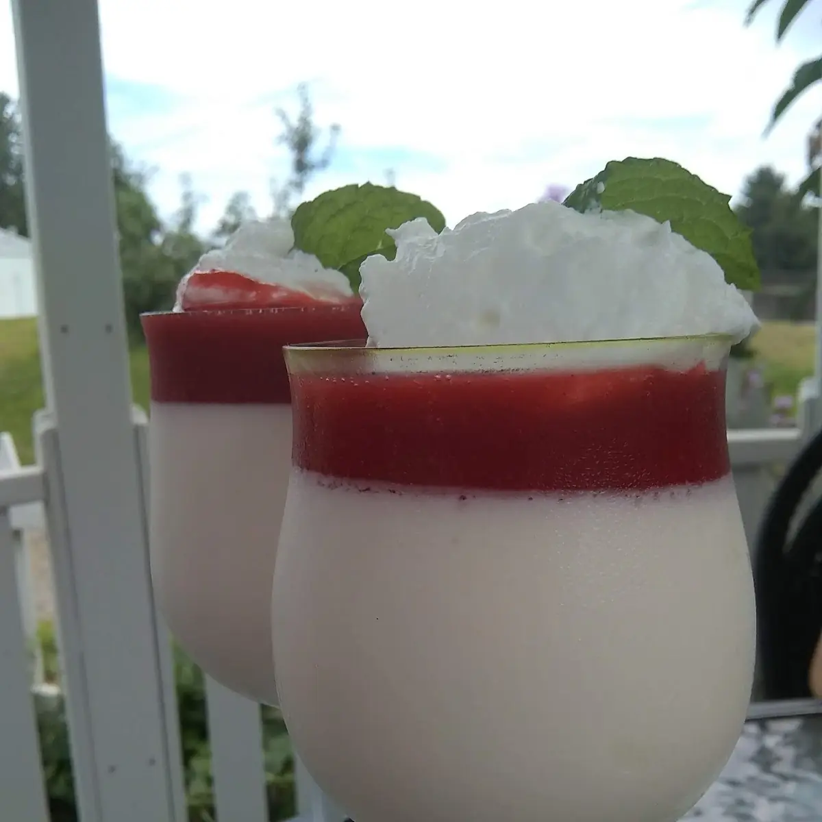 Panna Cotta