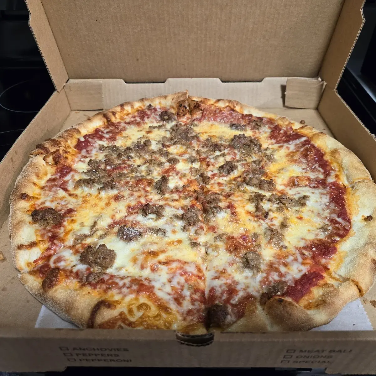 Large Sausage Pizza