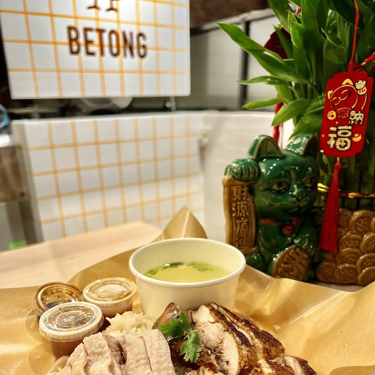 Combo Chicken Rice