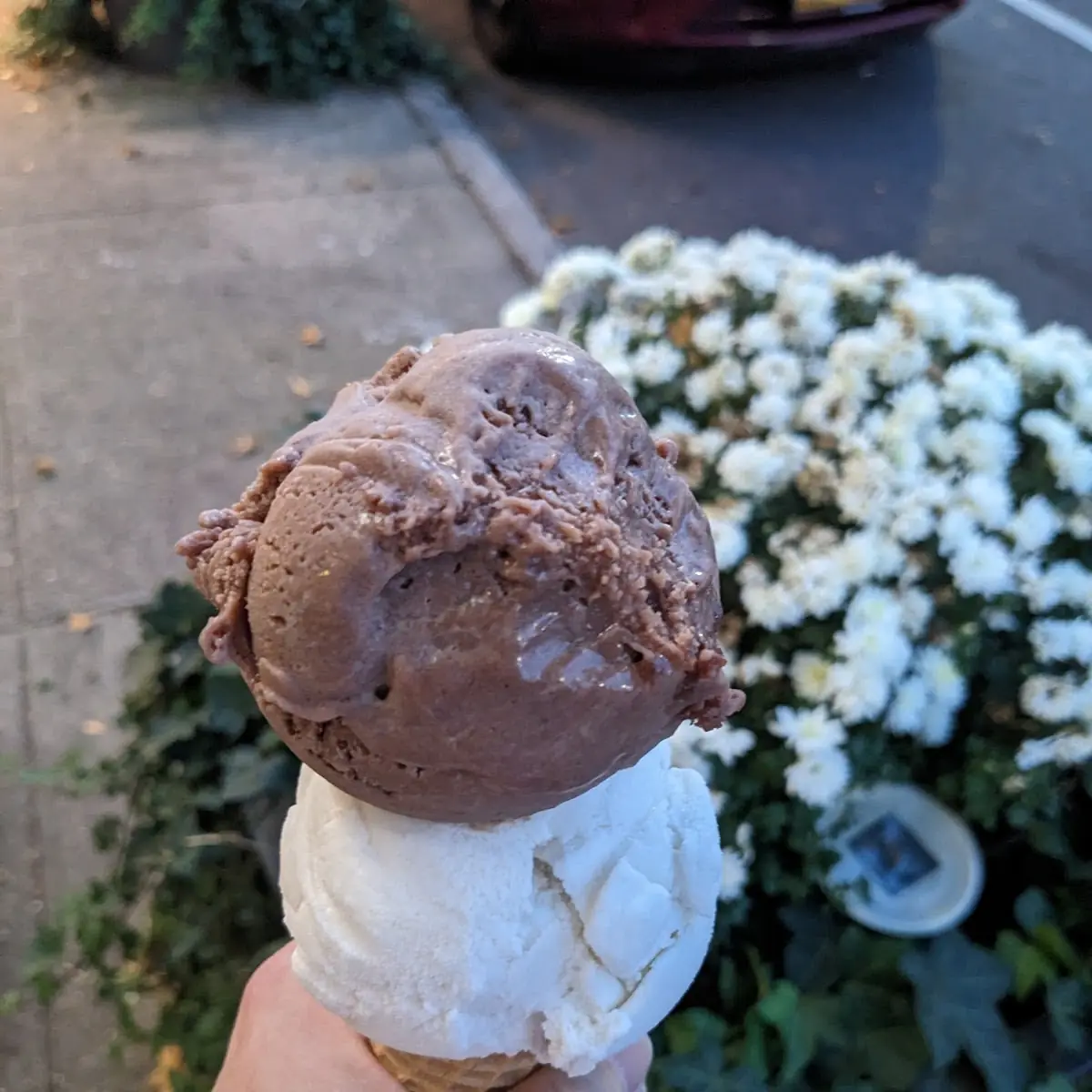 Sugar Cone