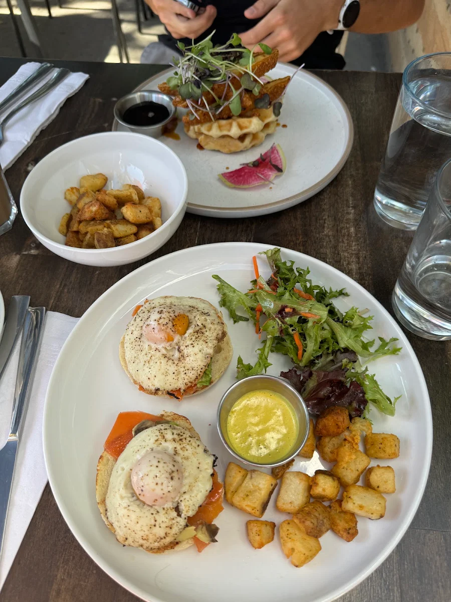 Eggs Benedict, Stillfood Bistro & Cappuccino Bar