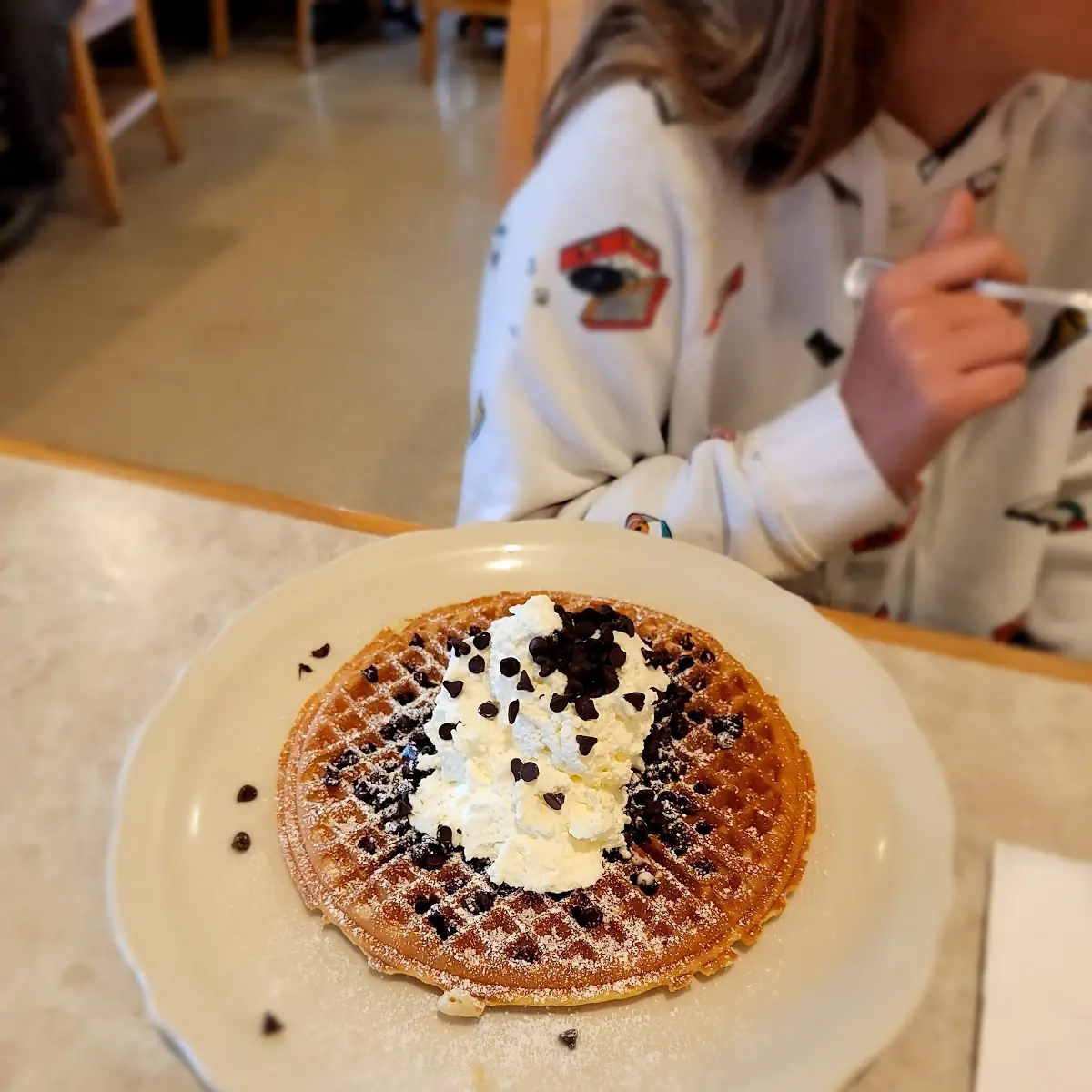 Chocolate Chip Waffle