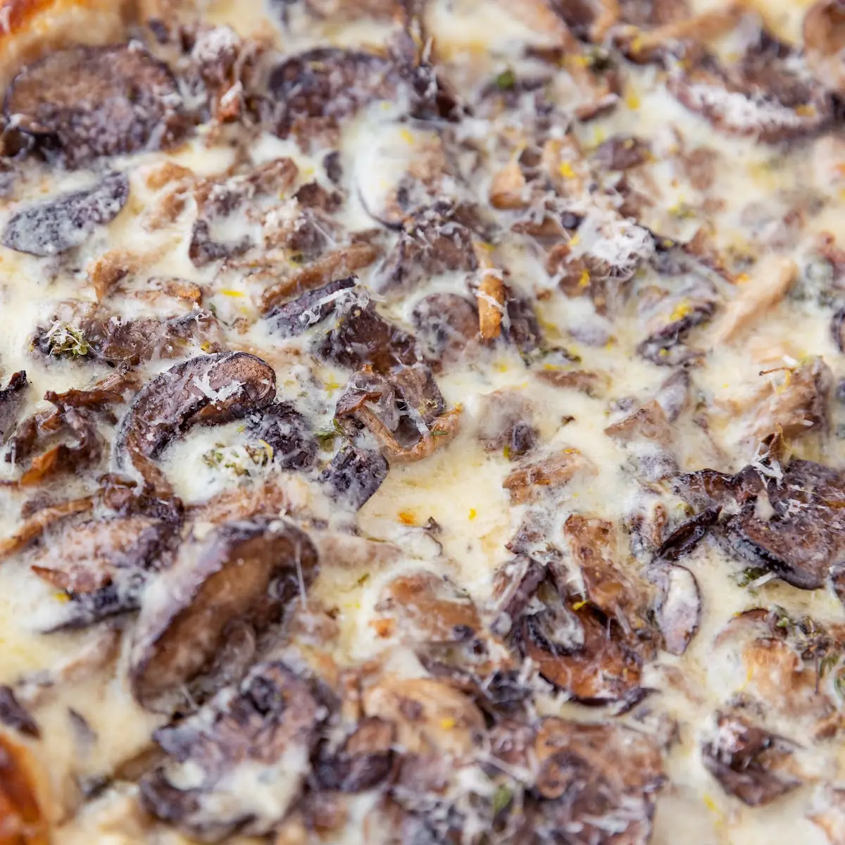 Mixed Mushroom Pizza