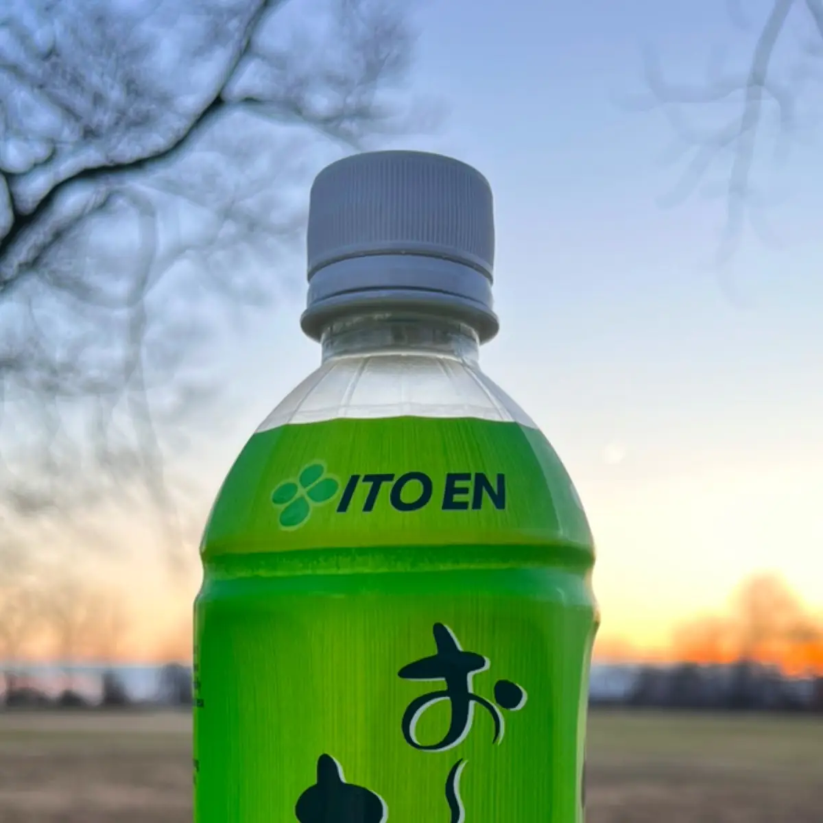 Green Tea